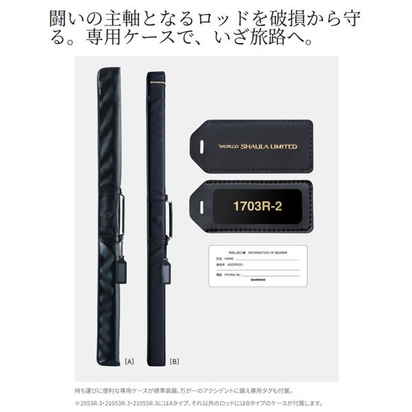 25 WORLD SHAULA LIMITED